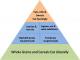 Food Pyramid For Vegetarians 